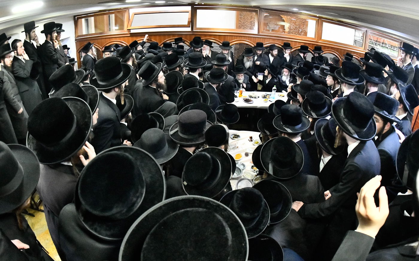 שמחת אירוסי בת האדמו"ר מרחמסטריווקא ספרינג וואלי