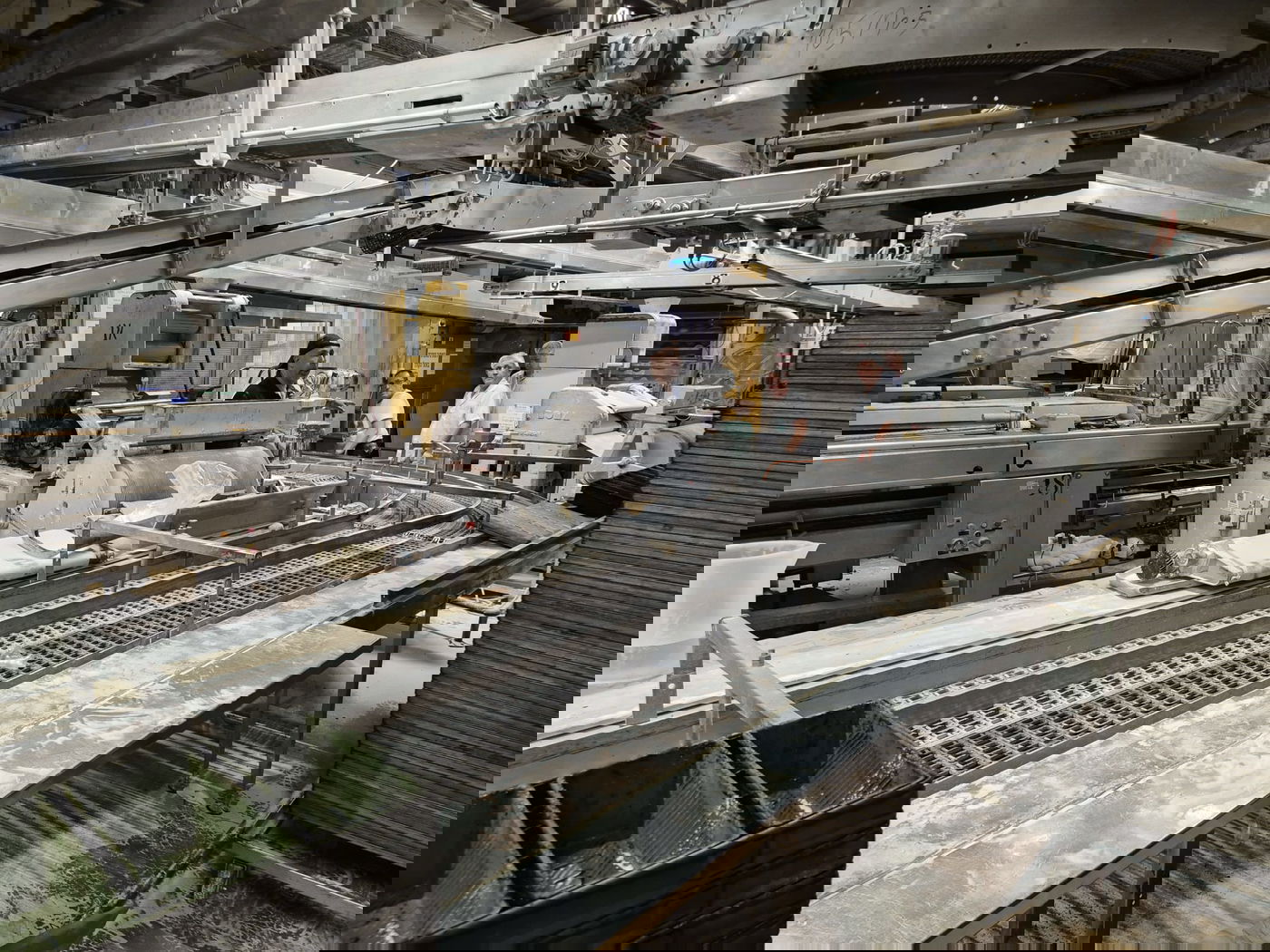 החילוץ של היד