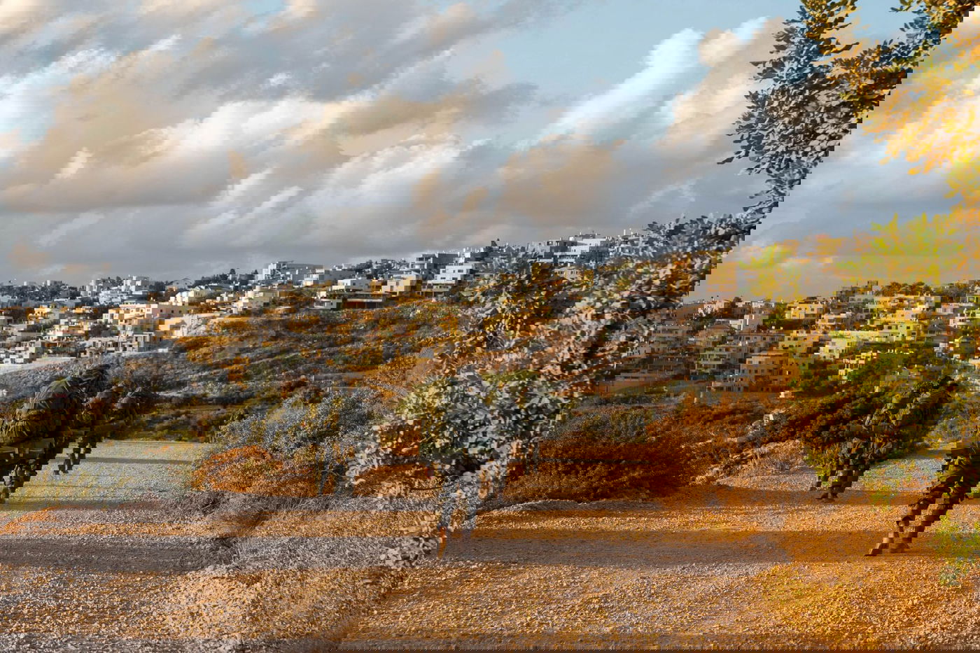 לוחמי צה"ל בגבול הצפון