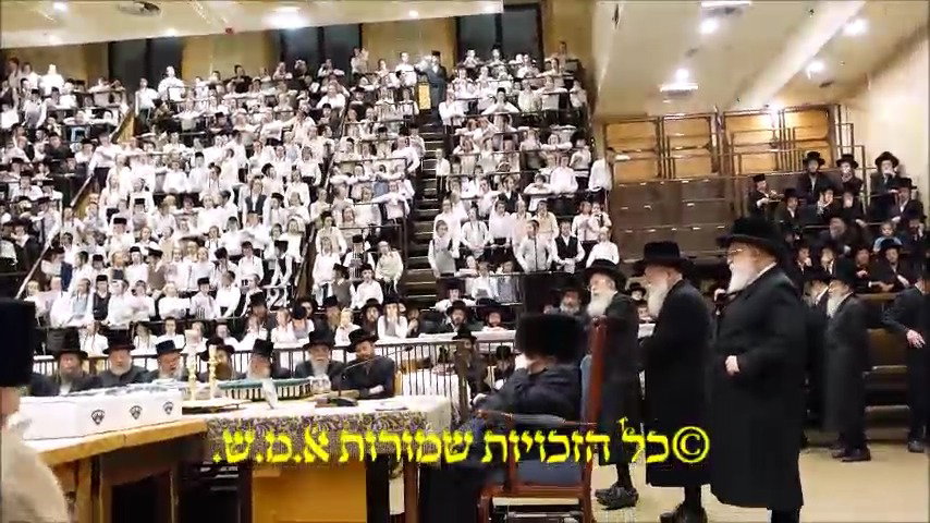 מעמד ה'כוללות קוויטל' לילדי בעלזא 