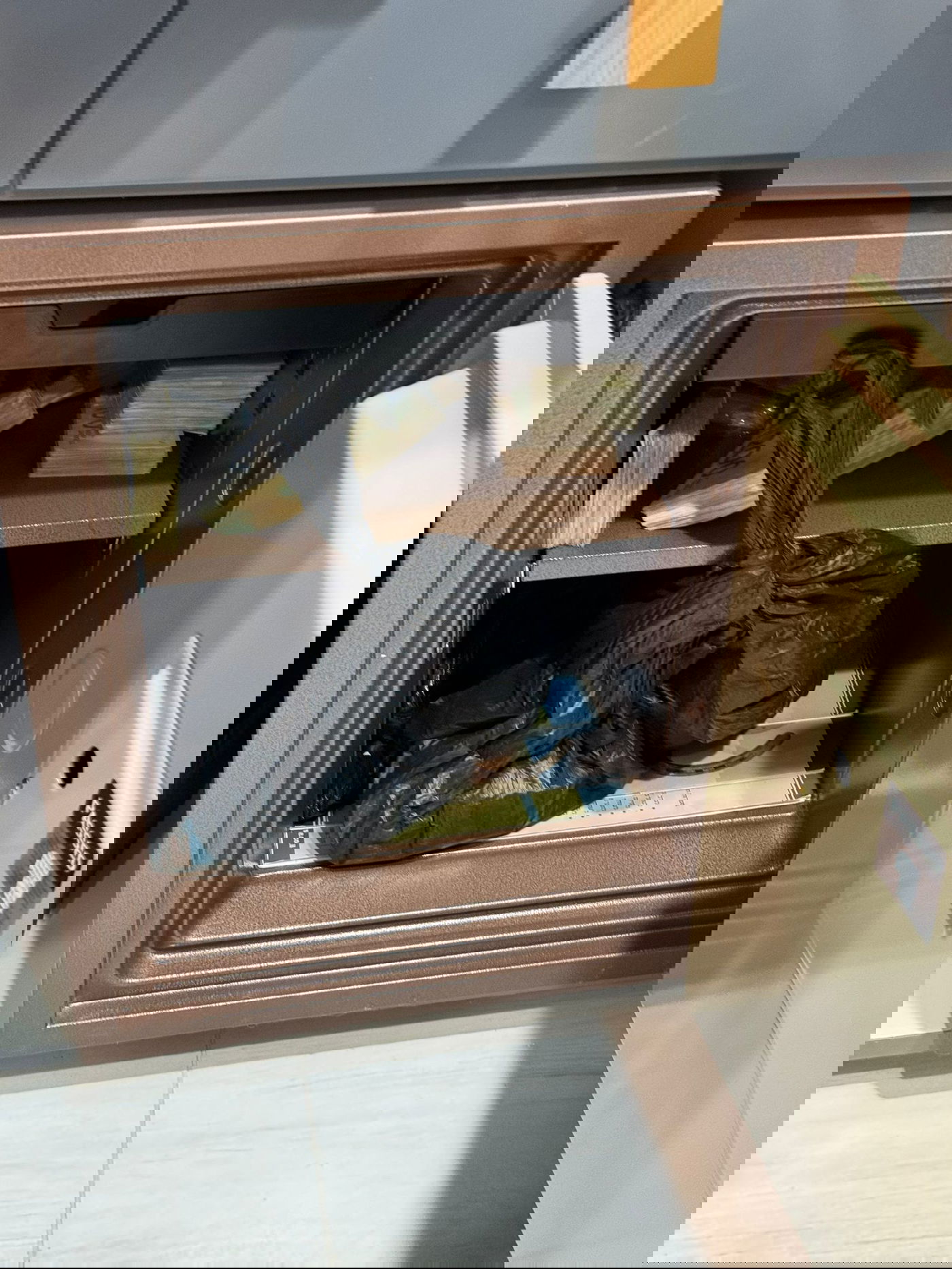 מבצע המעצרים