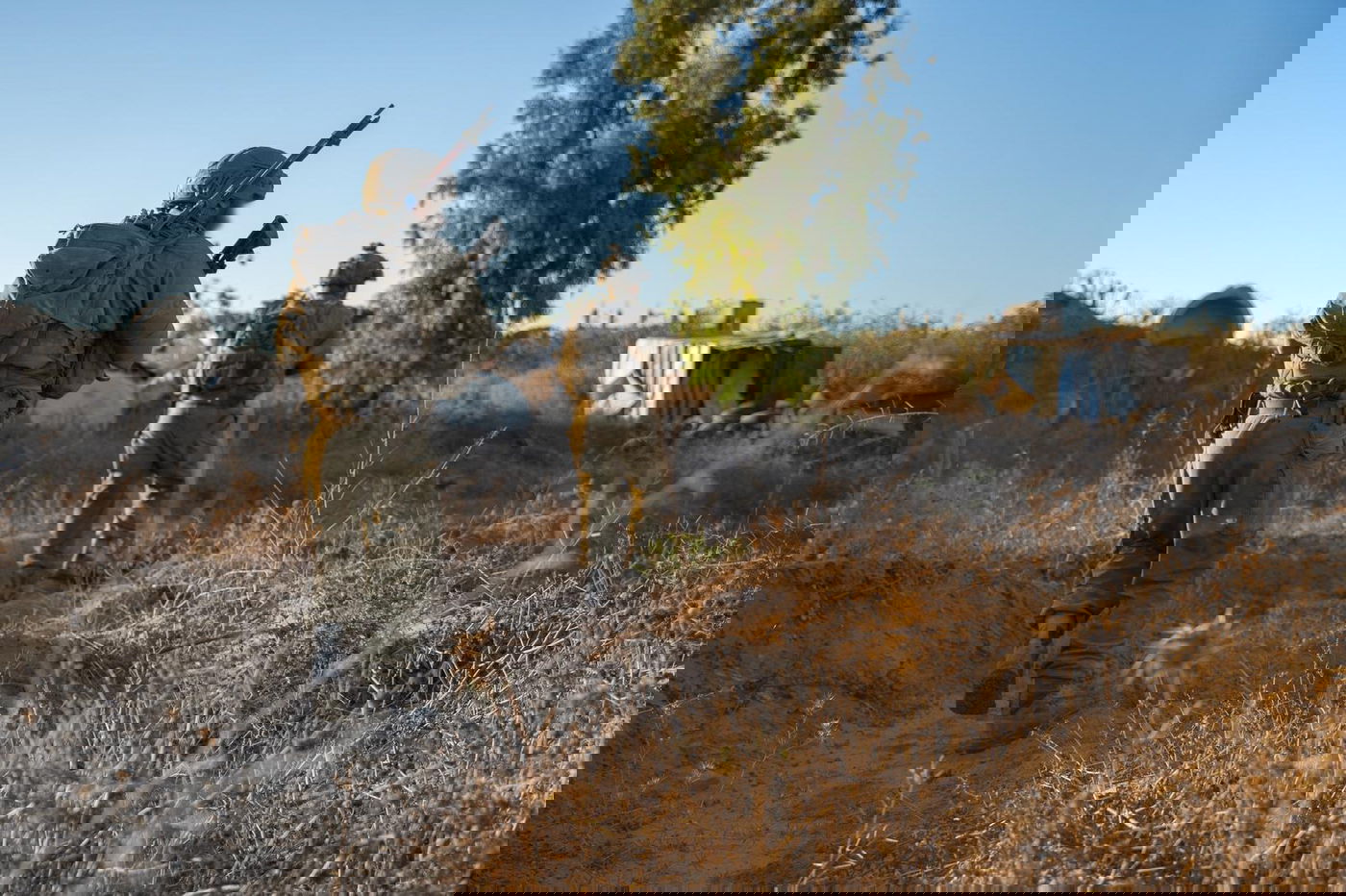 פעילות כוחות צה"ל ברצועת עזה