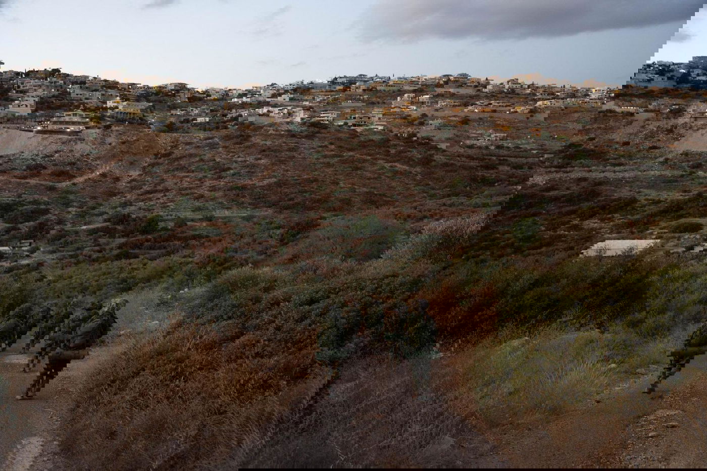 פעילות כוחות צה"ל בגבול הצפון