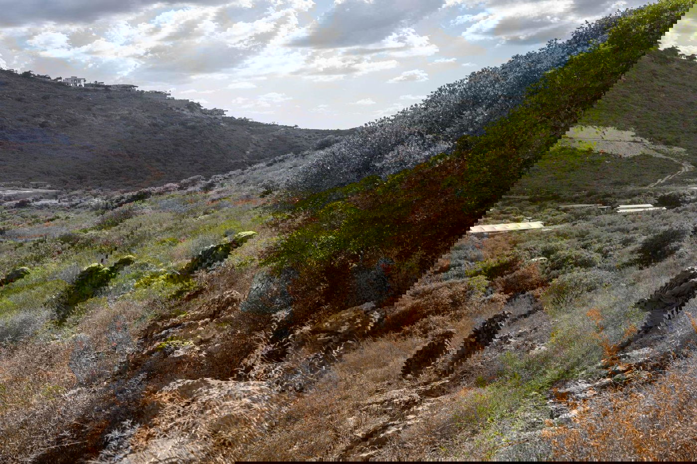 פעילות כוחות צה"ל בגבול הצפון