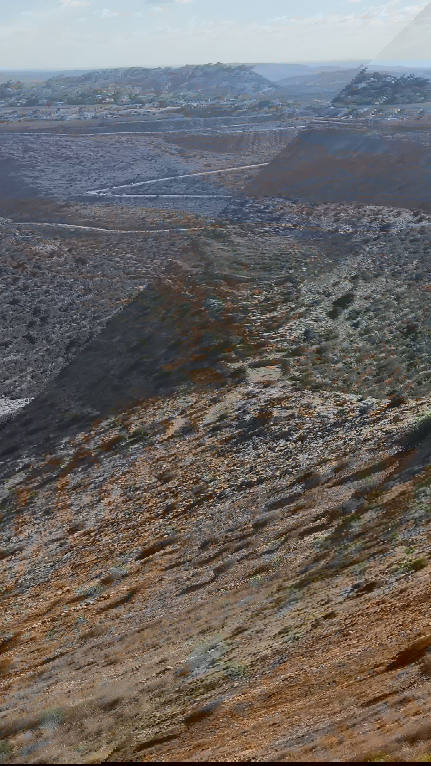 "תל צרדה" המקראית