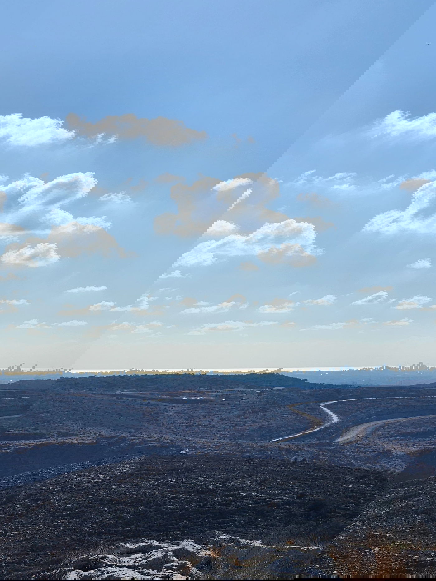 "תל צרדה" המקראית