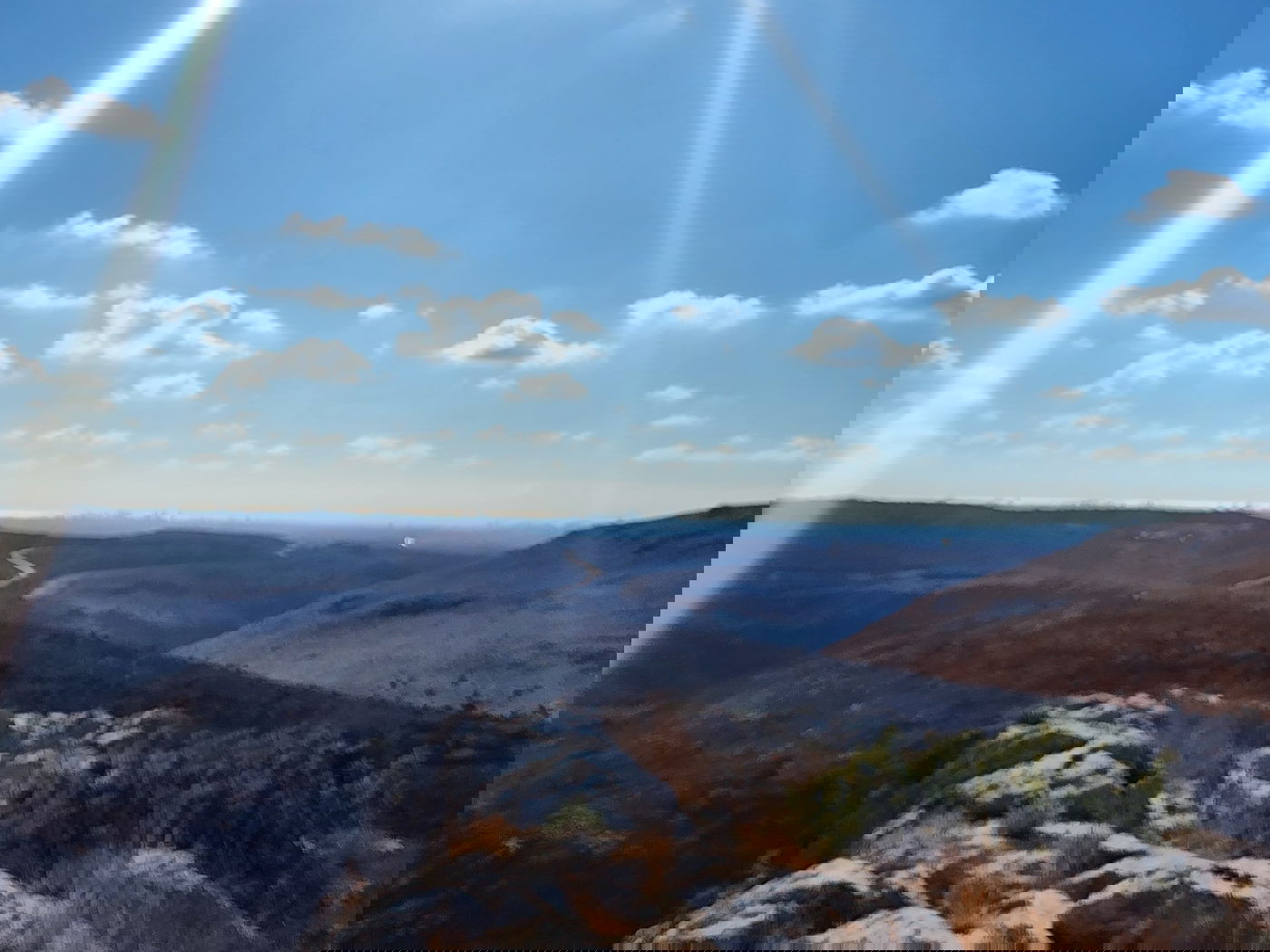 "תל צרדה" המקראית