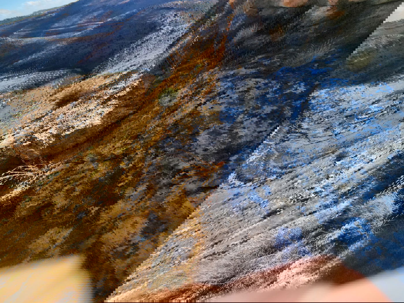 "תל צרדה" המקראית