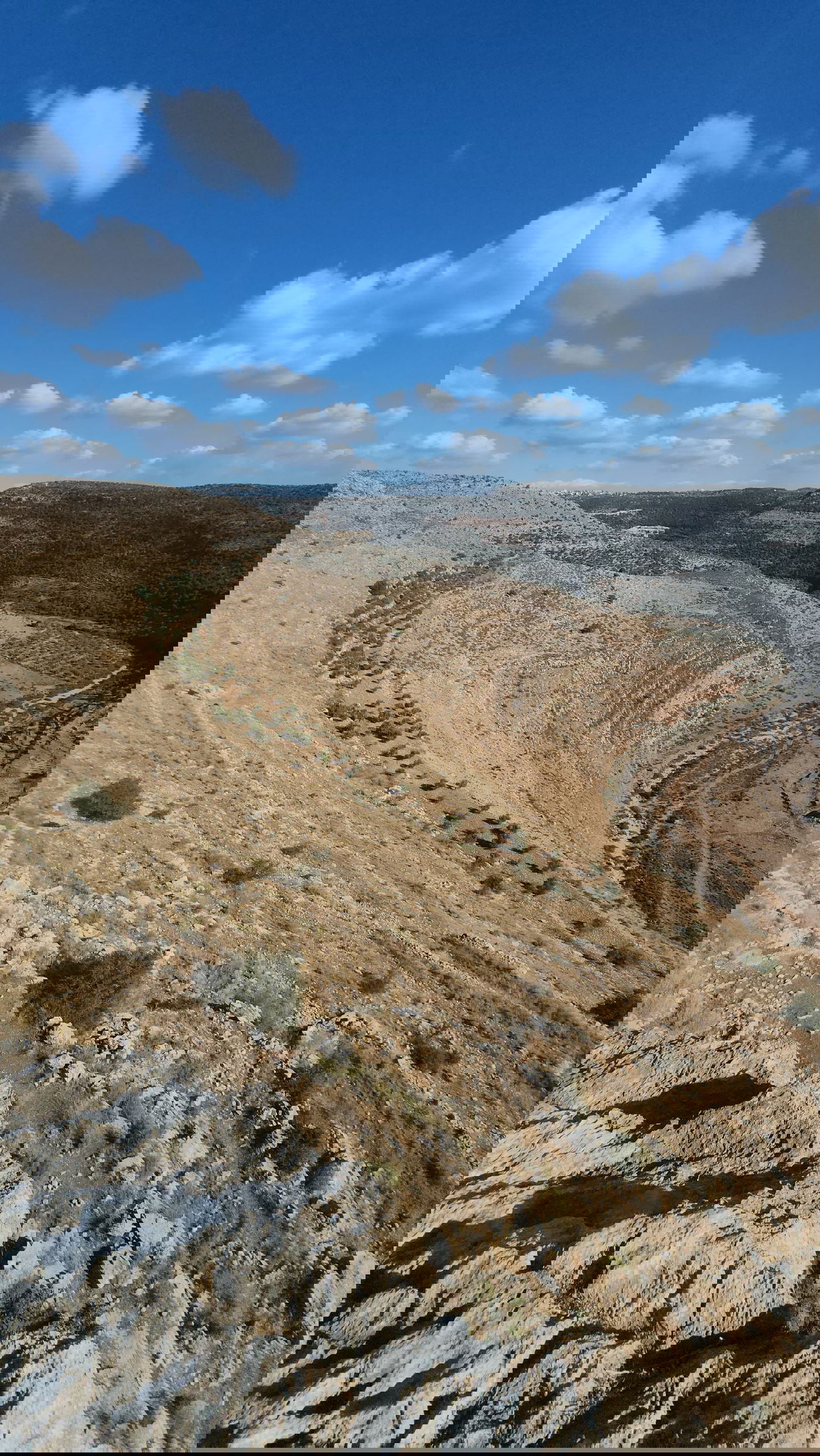 "תל צרדה" המקראית