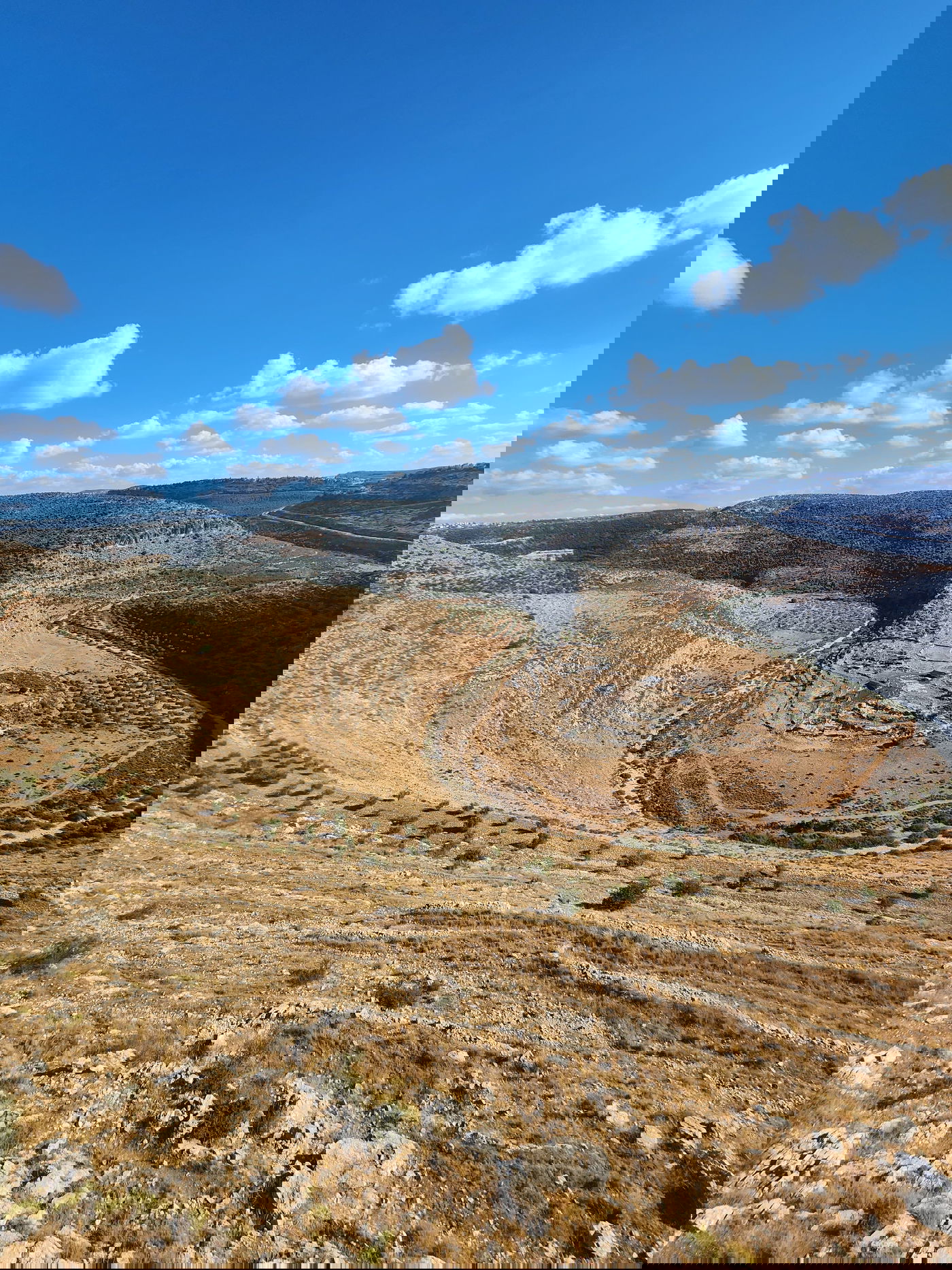 "תל צרדה" המקראית