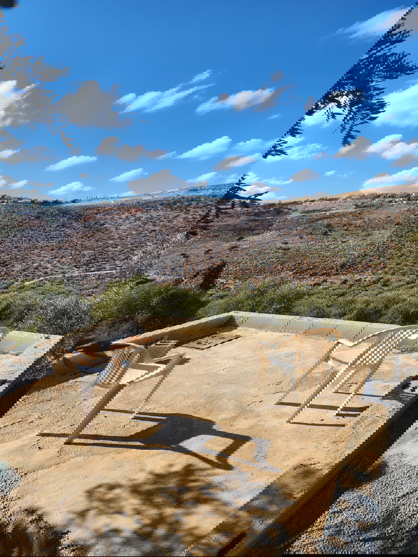 "תל צרדה" המקראית