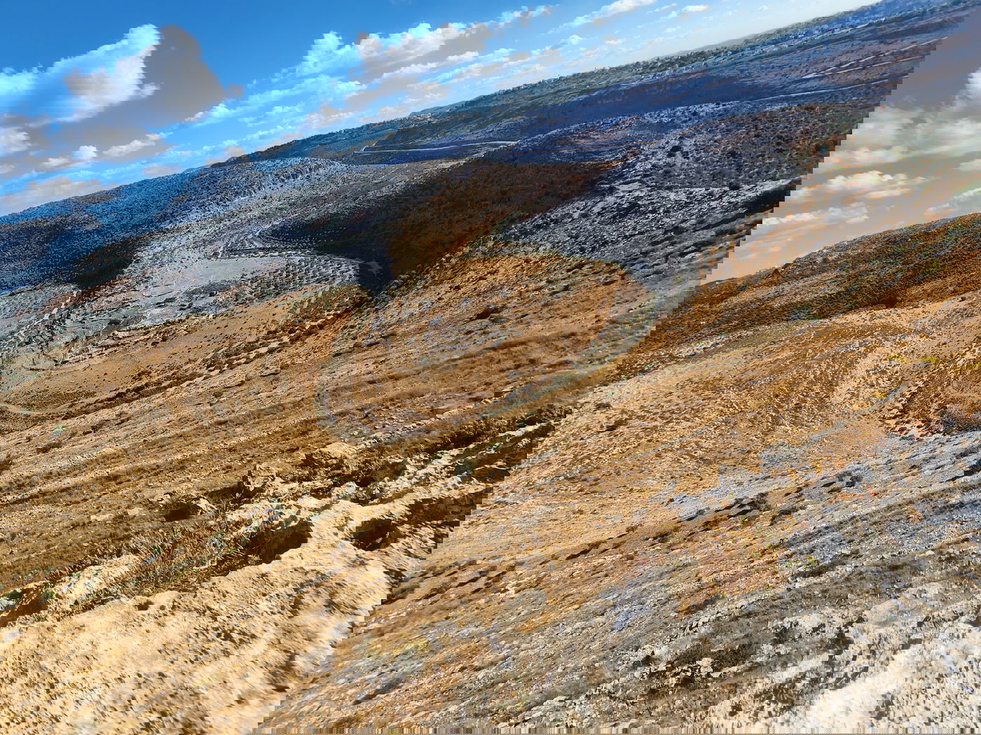 "תל צרדה" המקראית