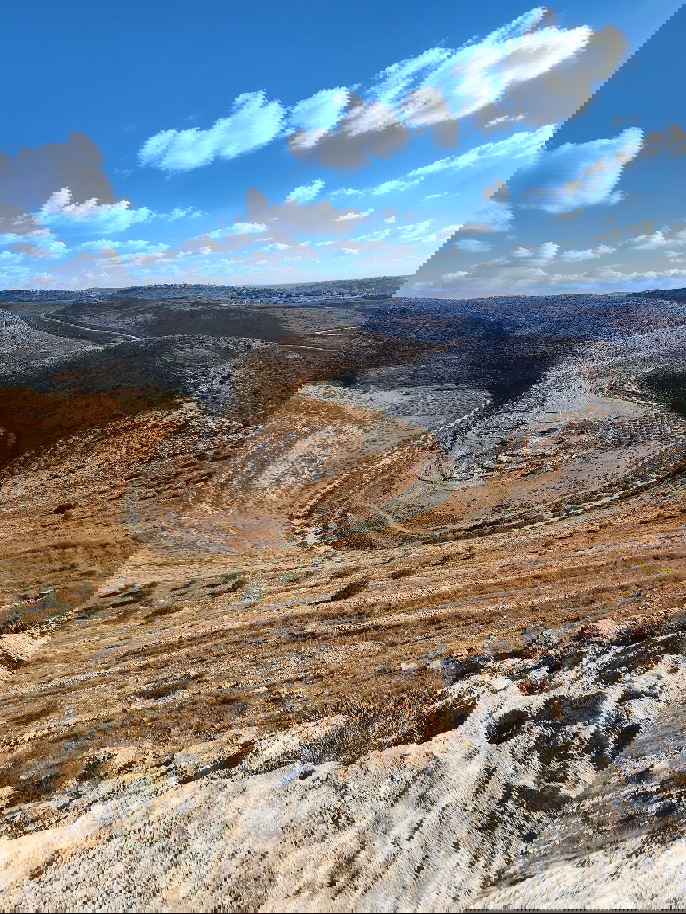 "תל צרדה" המקראית