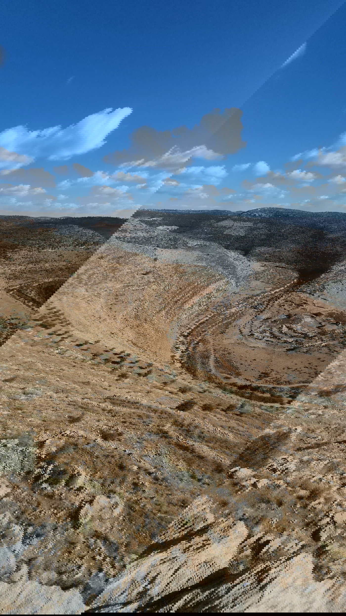 "תל צרדה" המקראית