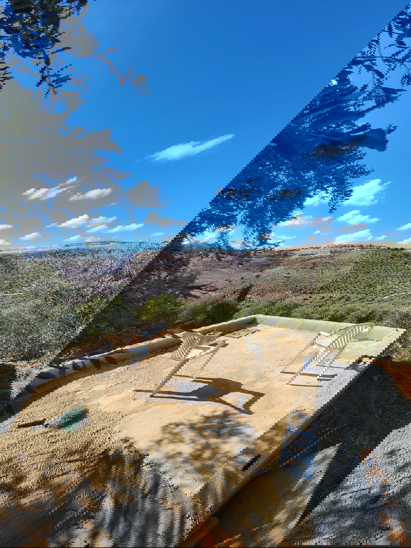 "תל צרדה" המקראית