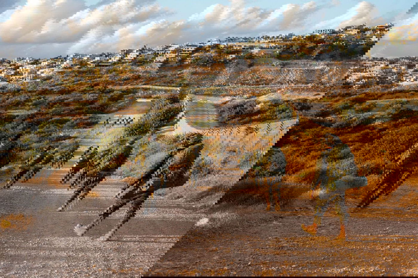 לוחמי צה"ל בגבול הצפון