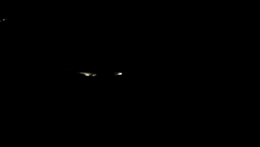 מאמצי החילוץ