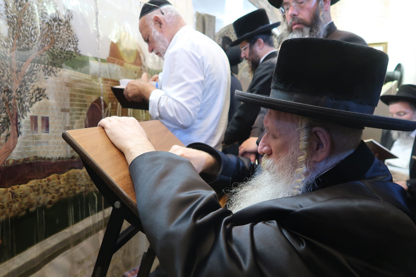 האדמו"ר מטשארנוביל בתפילה במקומות הקדושים בירושלים 