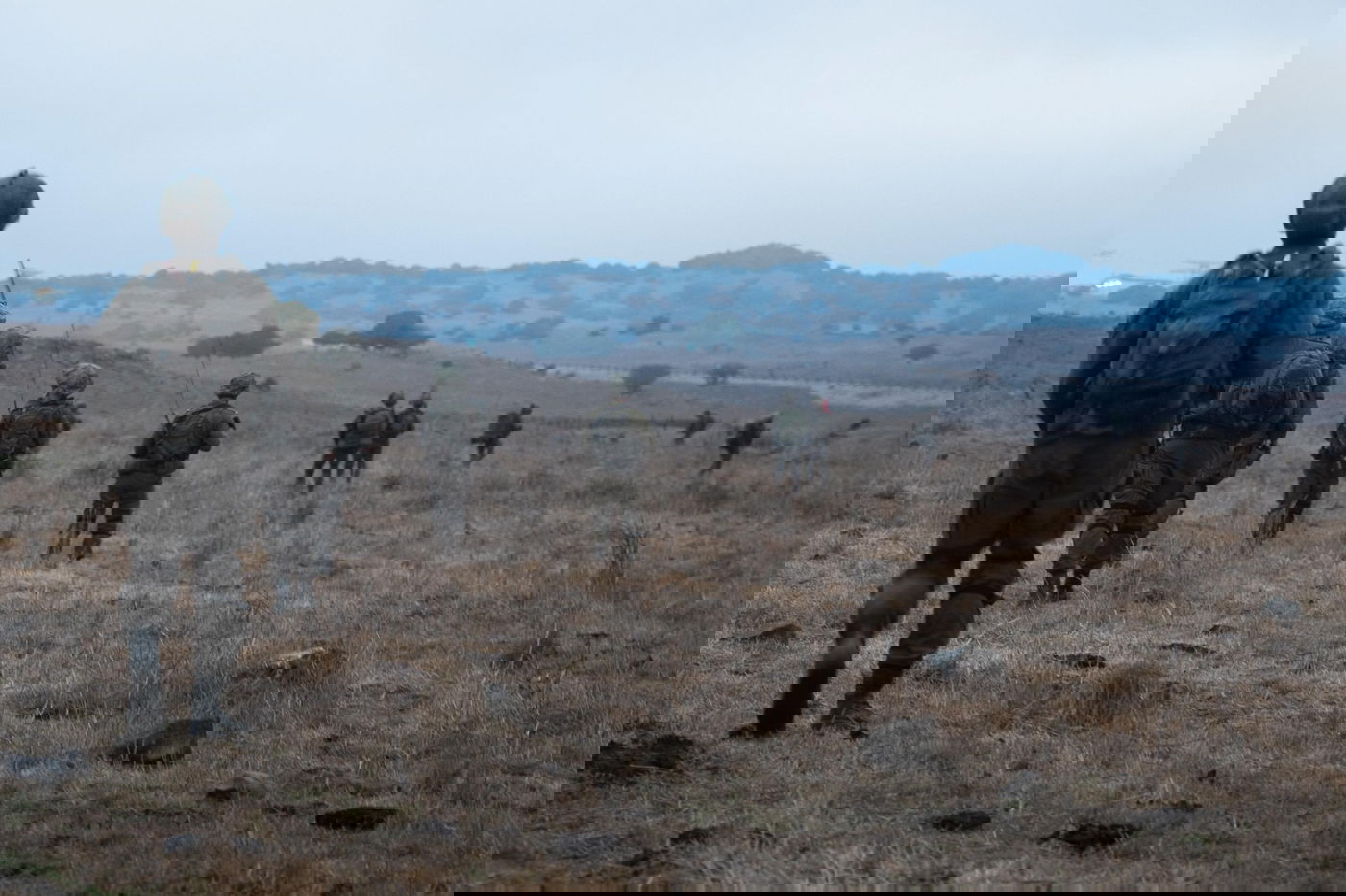 אימונים של לוחמי גולני, עציוני ושיריון לכניסה קרקעית בלבנון 