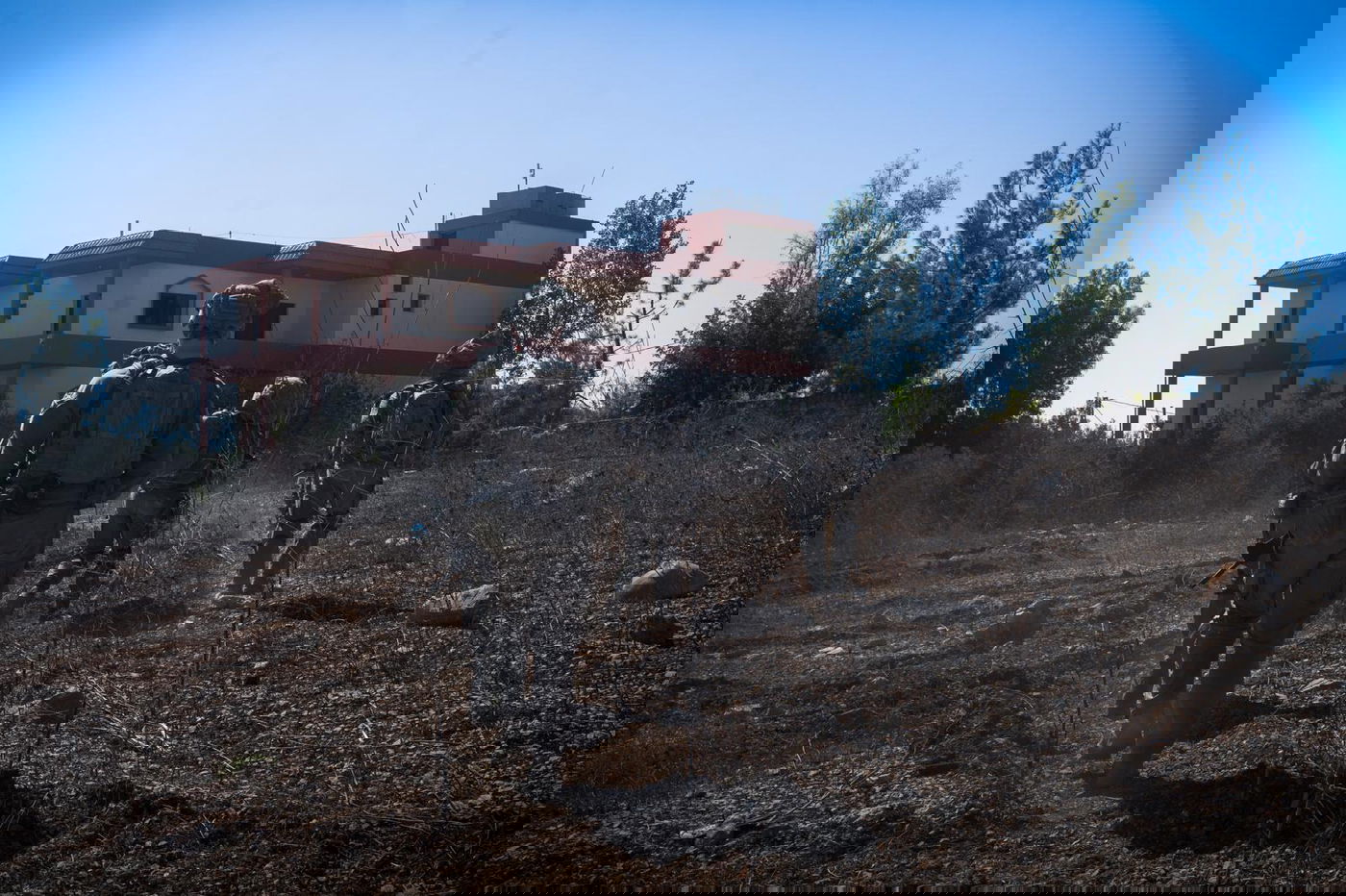 הפעילות בלבנון