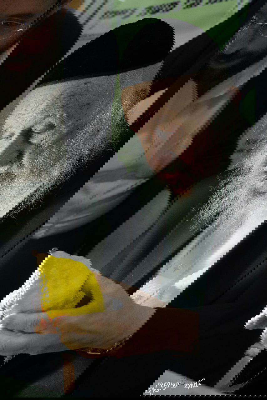 הגרב"ד פוברסקי בבדיקת אתרוגים לחג הסוכות 