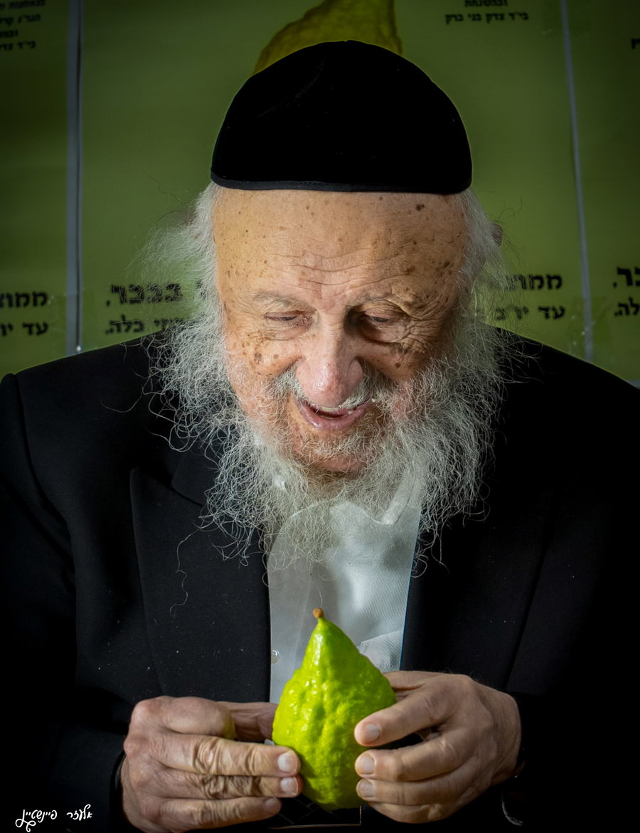 הגרב"ד פוברסקי בבדיקת אתרוגים לחג הסוכות