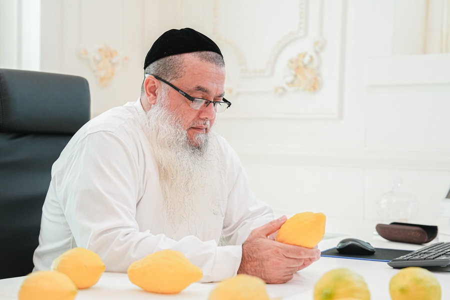 הגאון רבי יגאל כהן בבדיקת אתרוגים לחג הסוכות