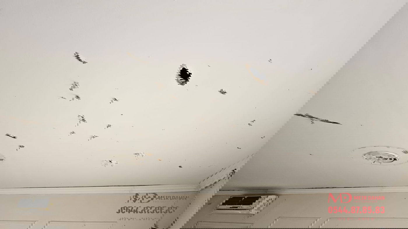 זירת הנפילה בכפר חב"ד