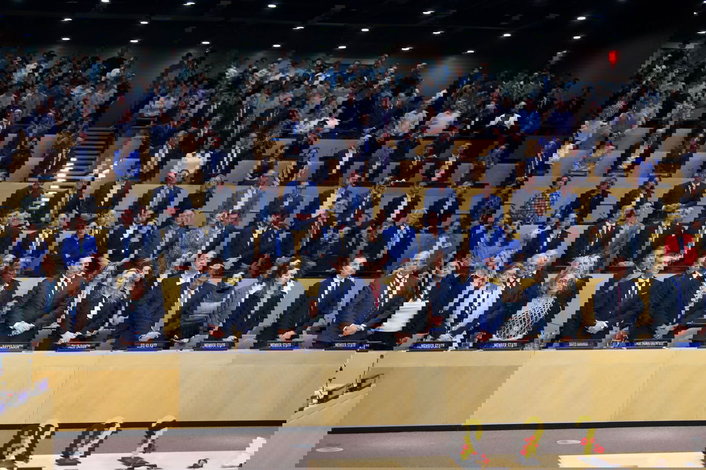 מליאת האו"ם