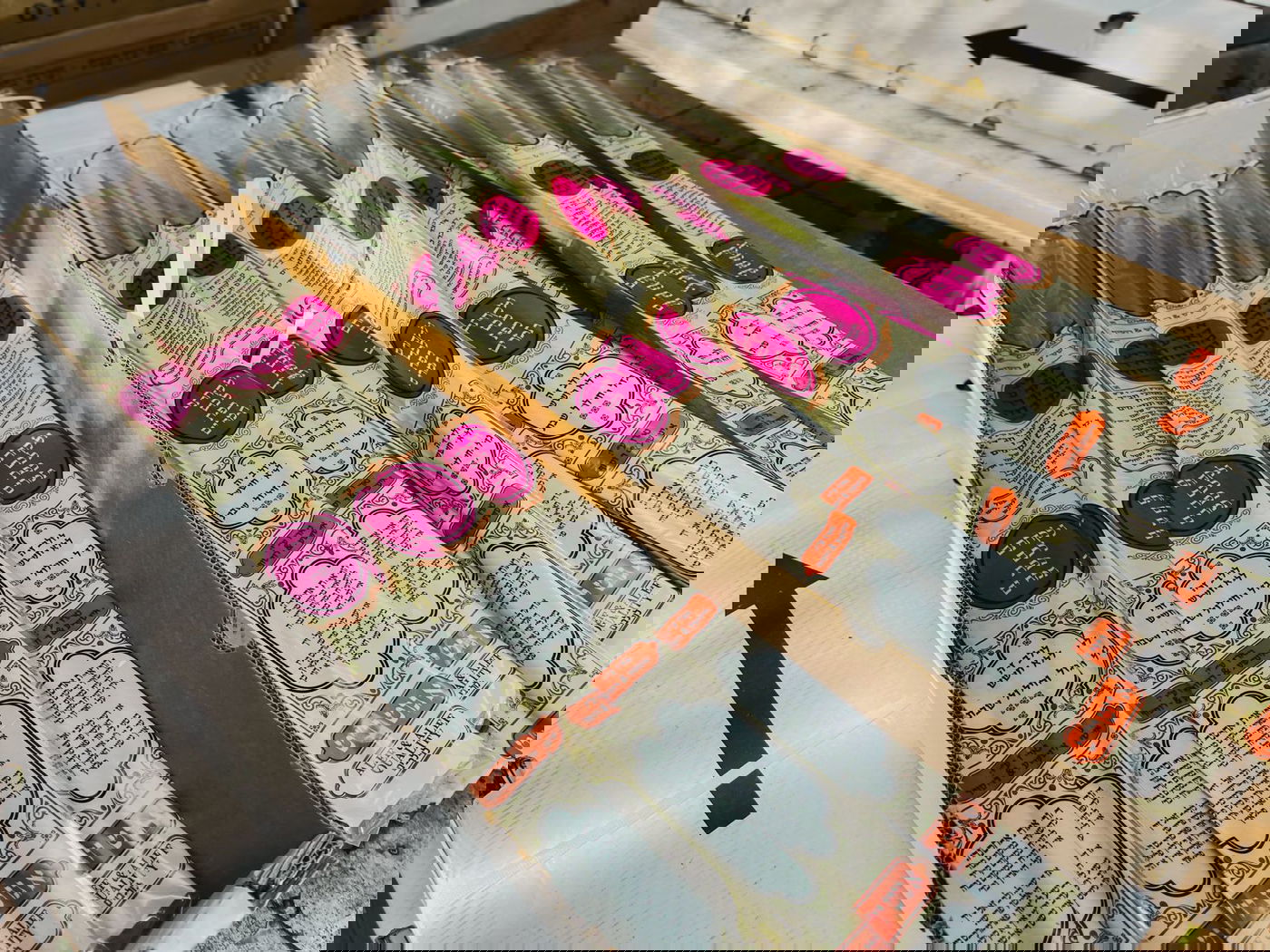 מהצפון המופגז - לאוקראינה: הך הועברו אלפי סטים של ד' מינים תחת אש