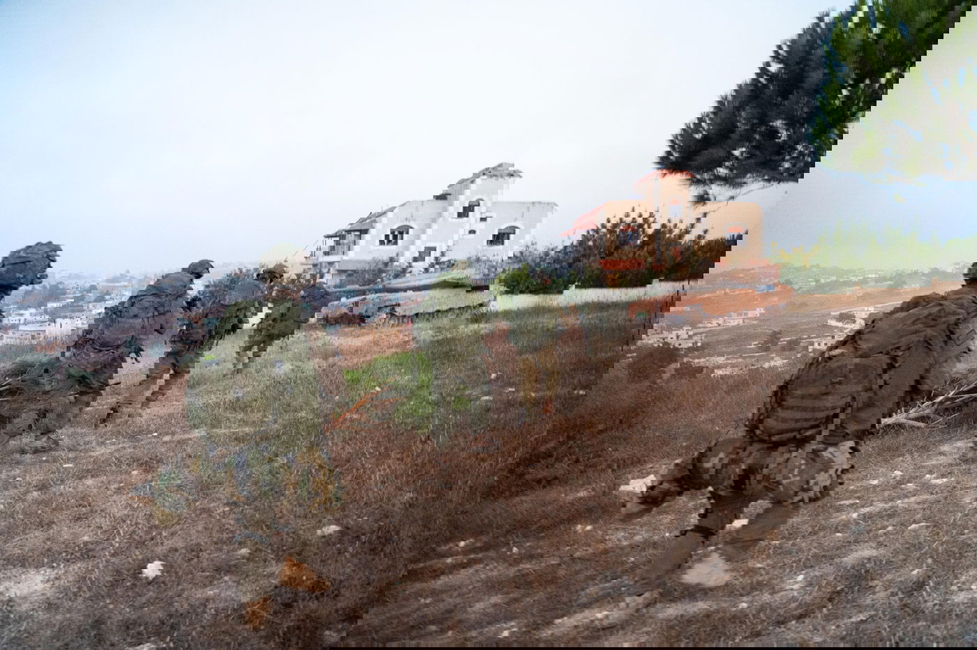 פעילות כוחות צה"ל בדרום לבנון