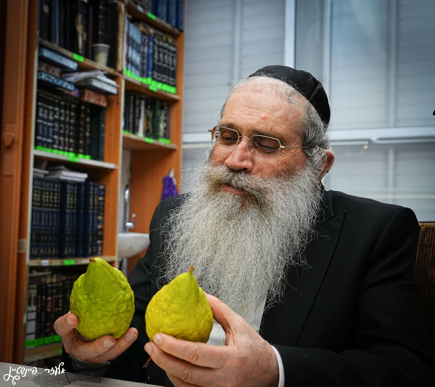 הגאון רבי שרגא שטיינמן בבחירת אתרוג לסוכות 