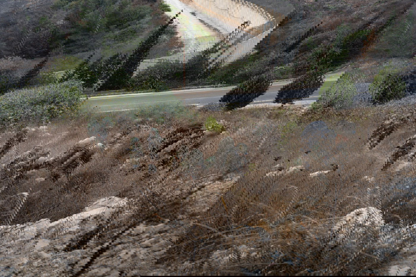 לוחמי צה"ל בדרום לבנון