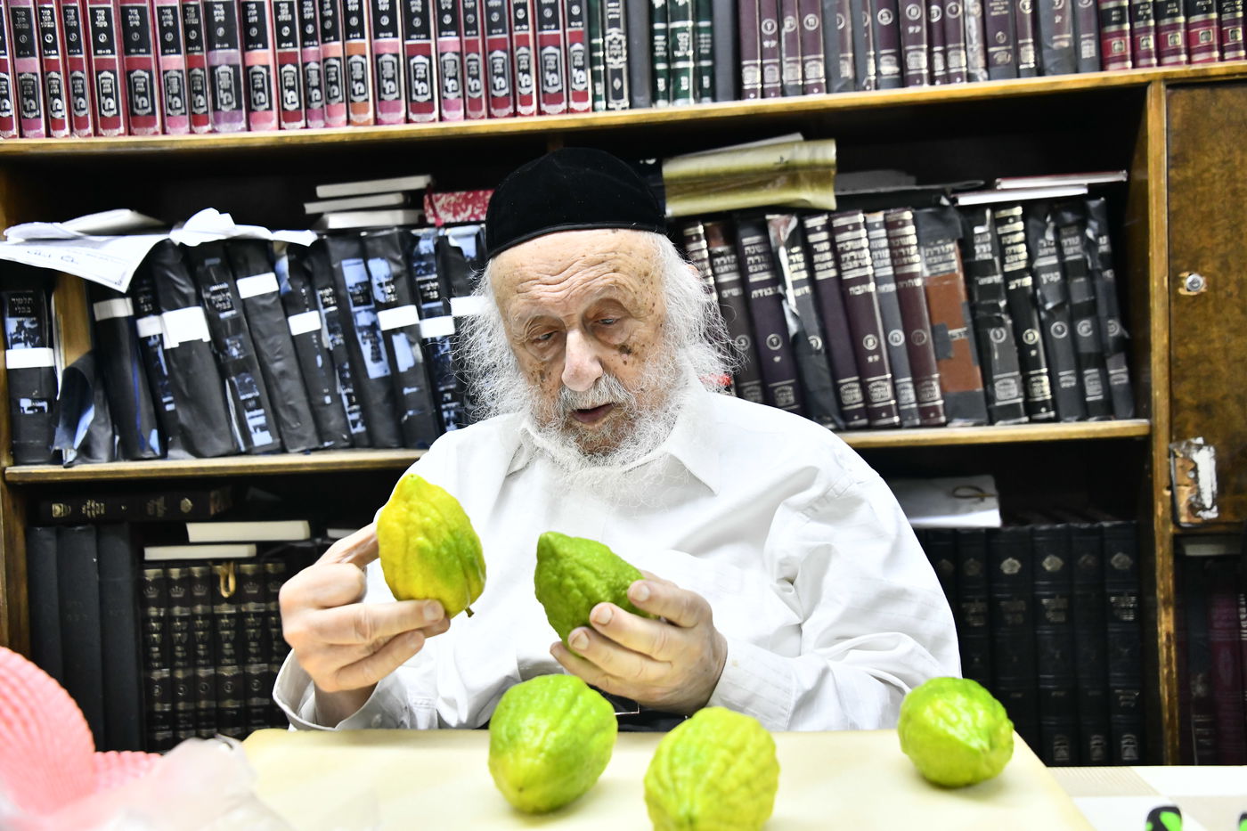 הגאון רבי ברוך דב פוברסקי בבדיקת ד' מינים 