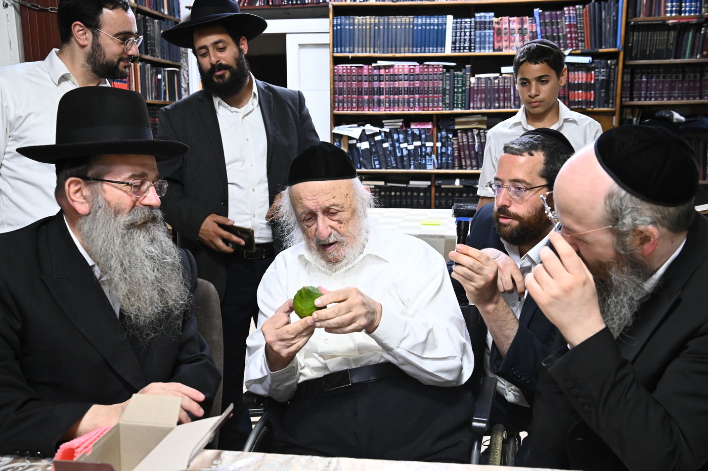 הגאון רבי ברוך דב פוברסקי בבדיקת ד' מינים 