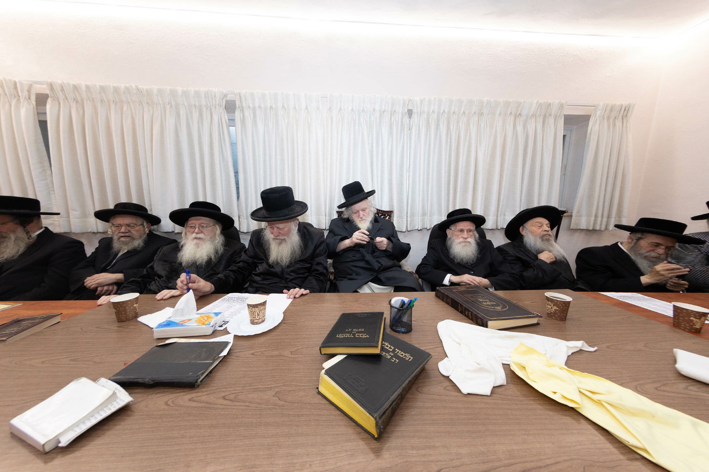 הגר"מ שטרנבוך בבדיקת סכינים 