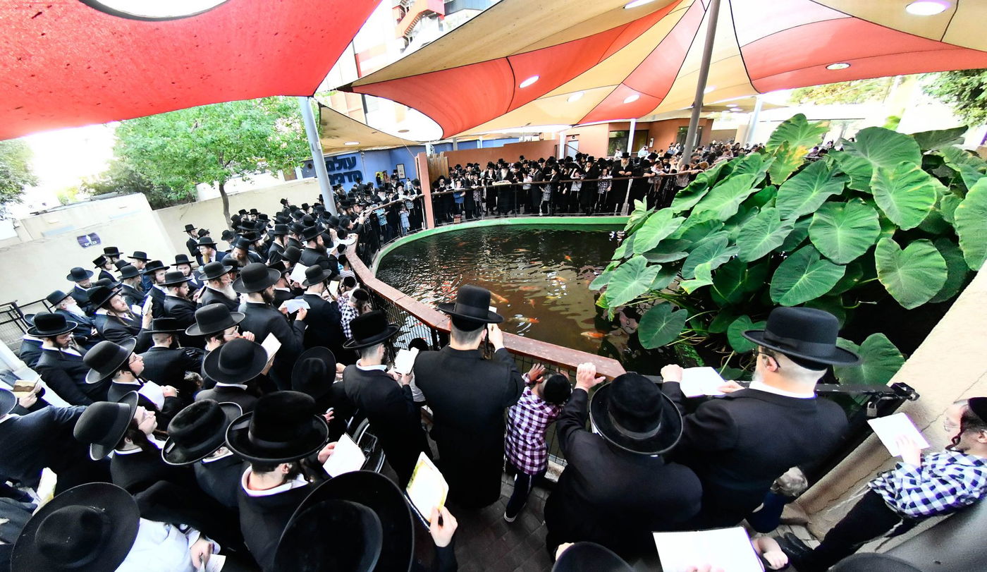 האדמו"ר ממודז'יץ בתשליך