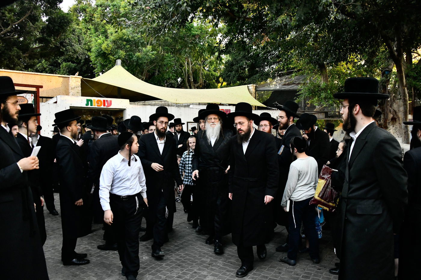 האדמו"ר ממודז'יץ בתשליך