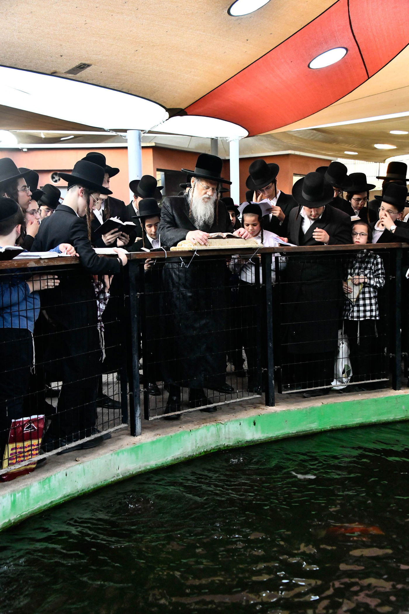האדמו"ר ממודז'יץ בתשליך