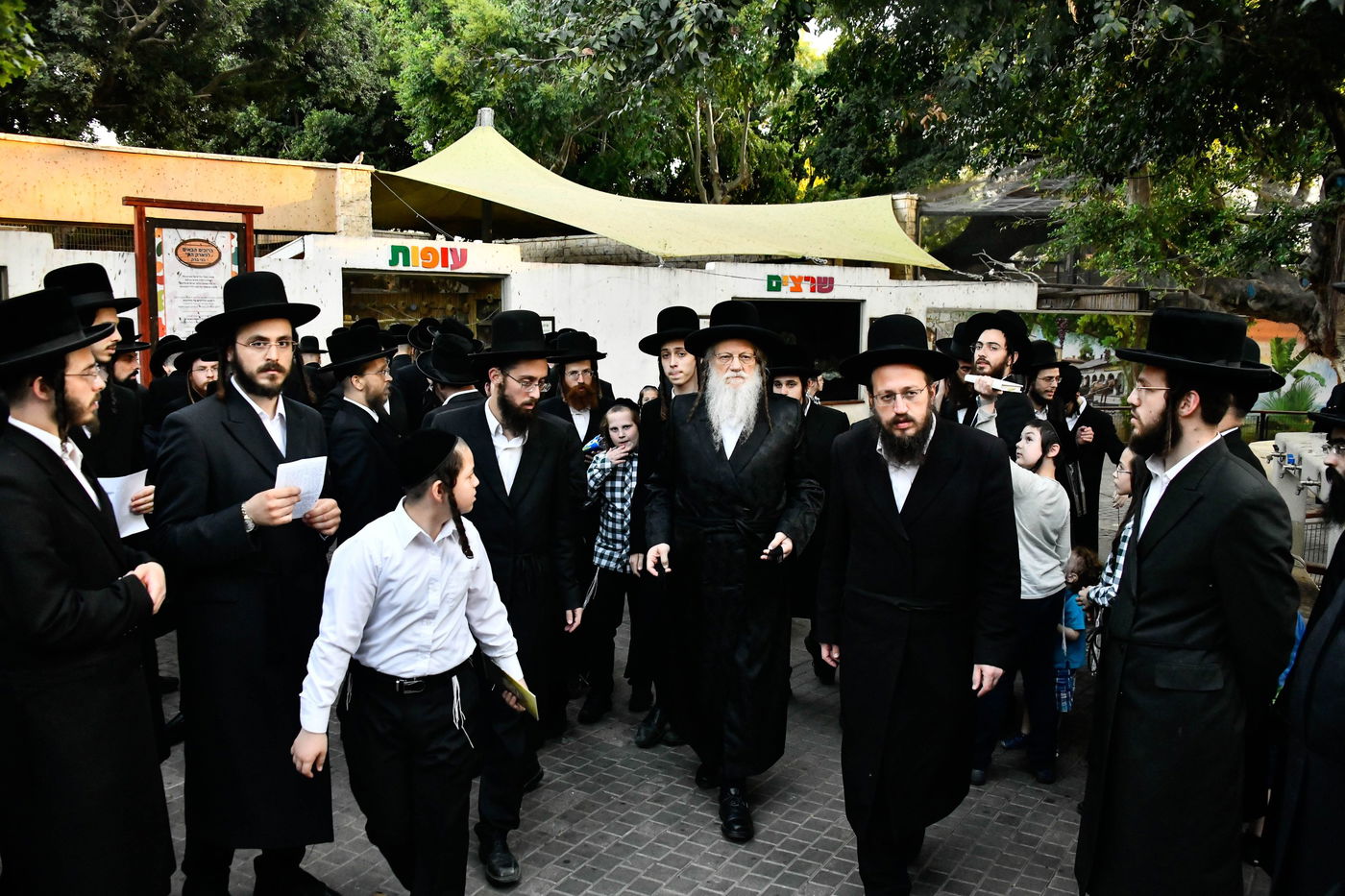 האדמו"ר ממודז'יץ בתשליך