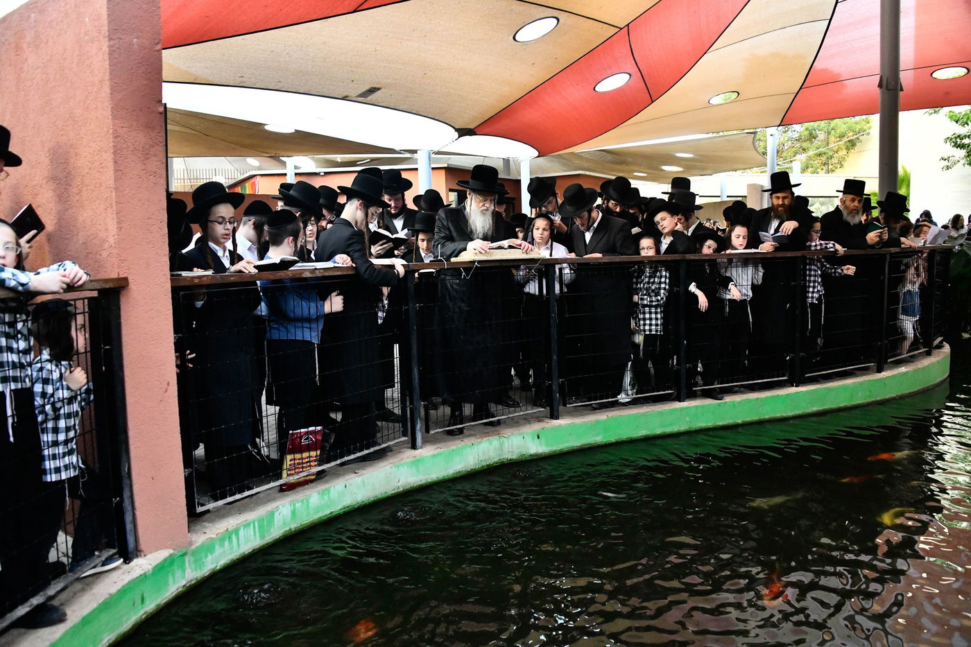 האדמו"ר ממודז'יץ בתשליך