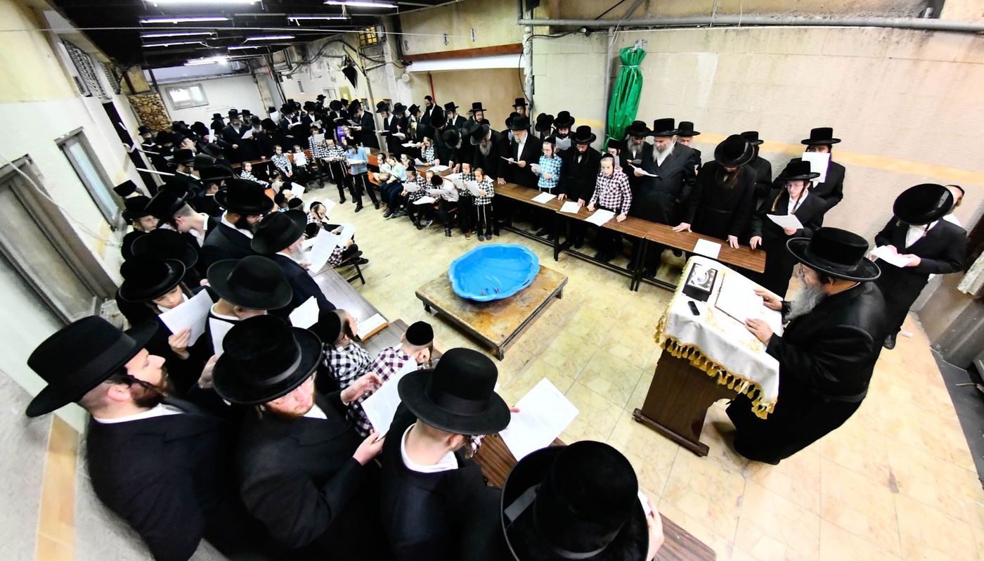 האדמו"ר משבט הלוי בתשליך 