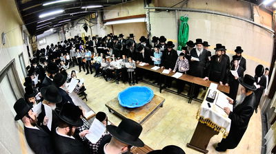 האדמו"ר משבט הלוי בתשליך 