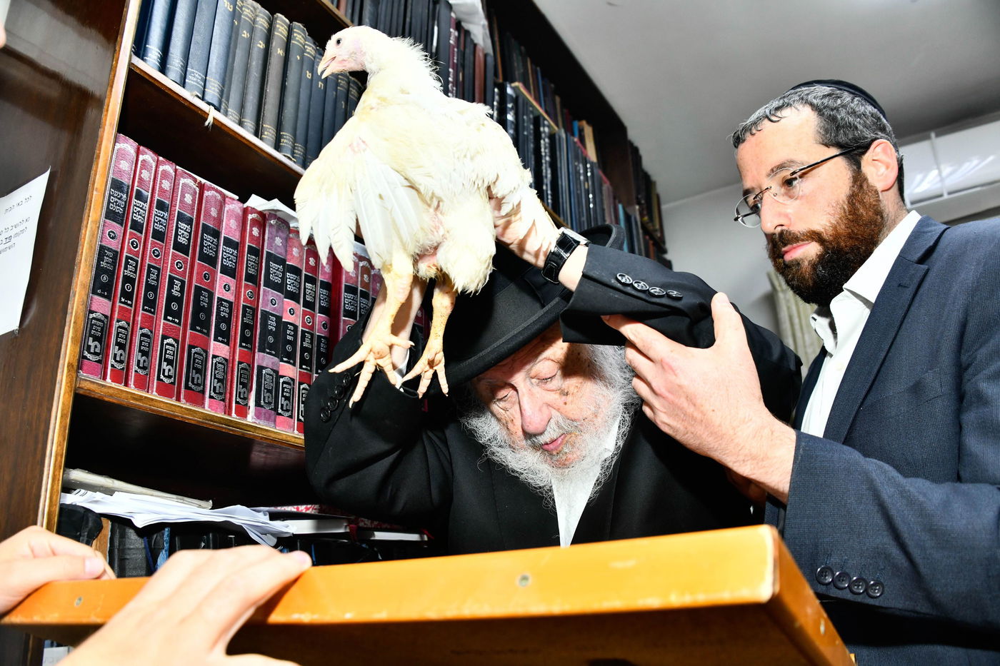 הגרב"ד פוברסקי במנהג כפרות 