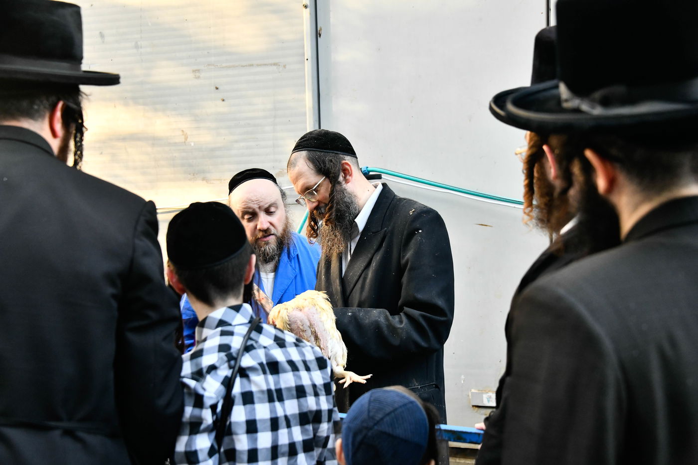 מנהג כפרות בבני ברק 