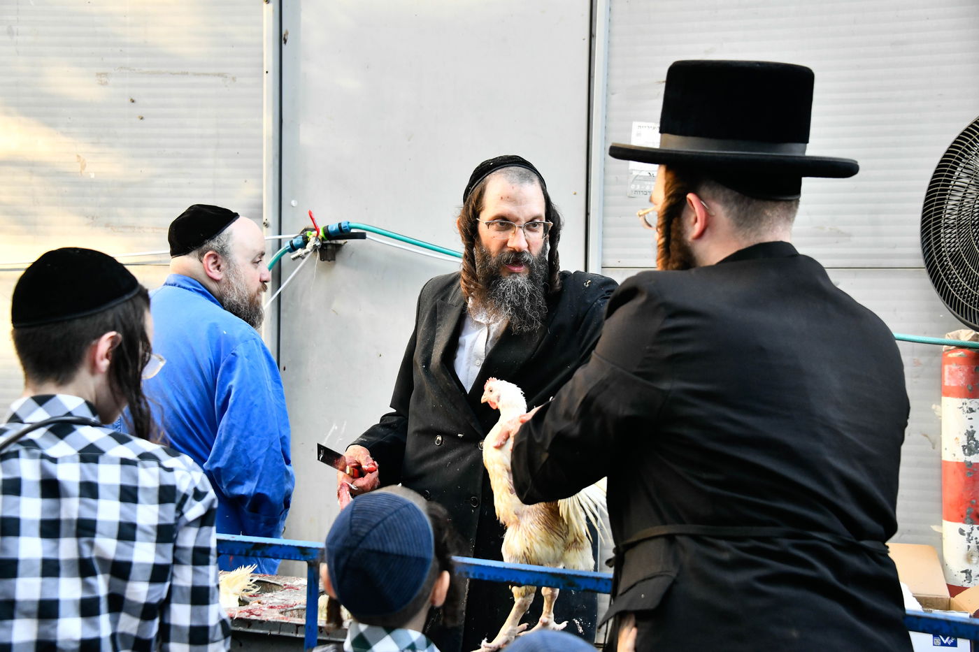 מנהג כפרות בבני ברק 