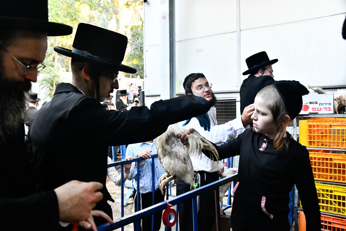 מנהג כפרות בבני ברק 