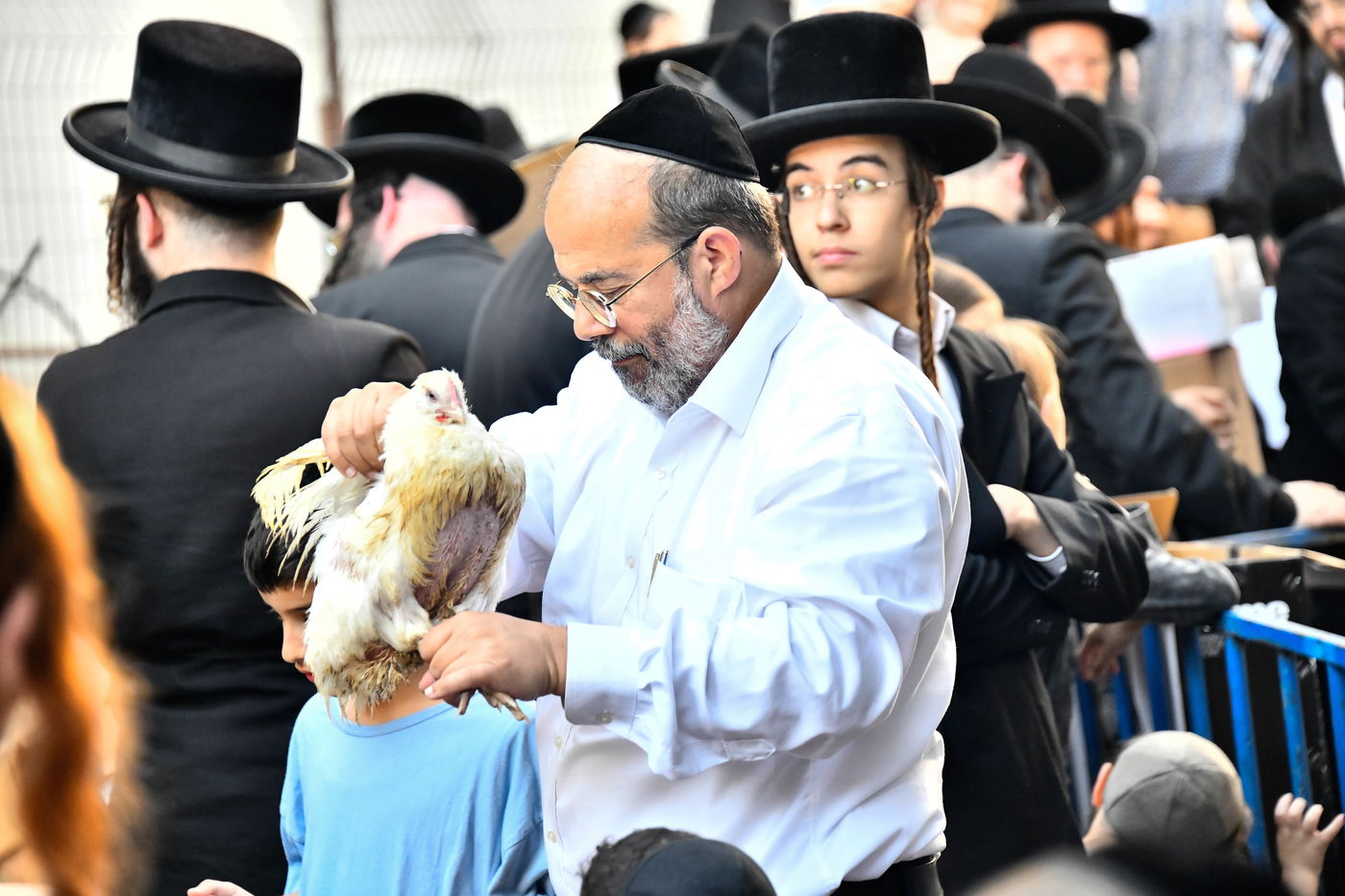 מנהג כפרות בבני ברק 