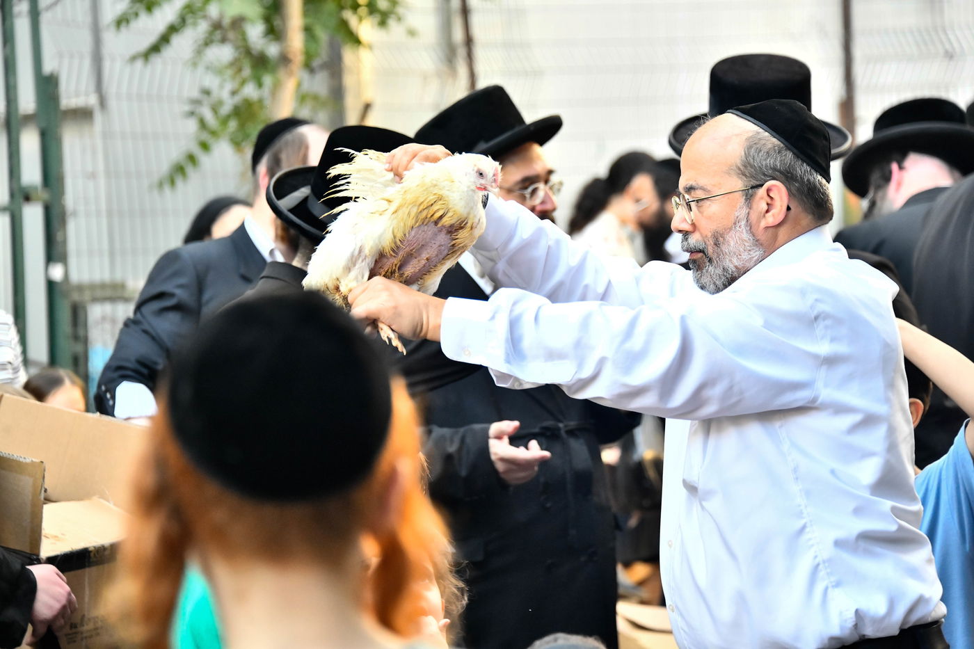 מנהג כפרות בבני ברק 