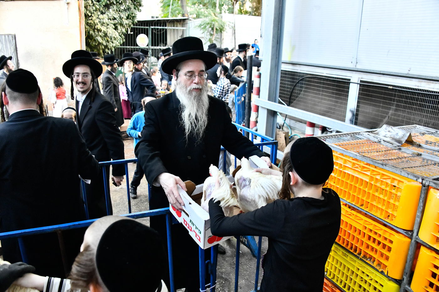 מנהג כפרות בבני ברק 